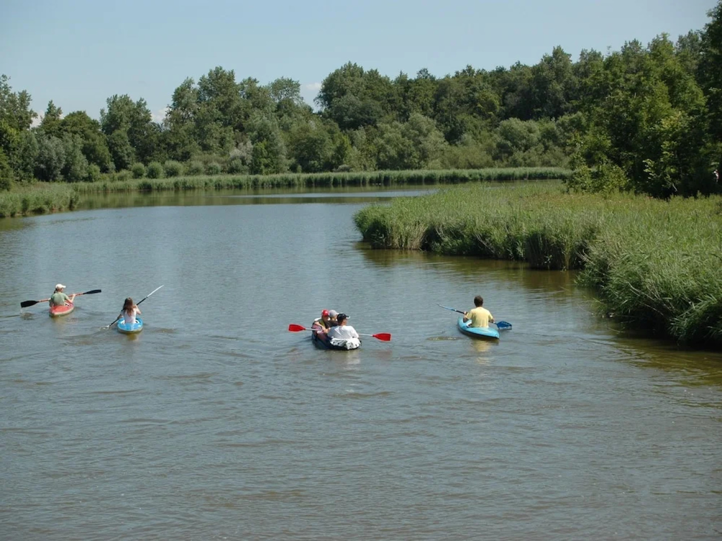 Holiday Home on a Dutch Coast in Veere near Forest