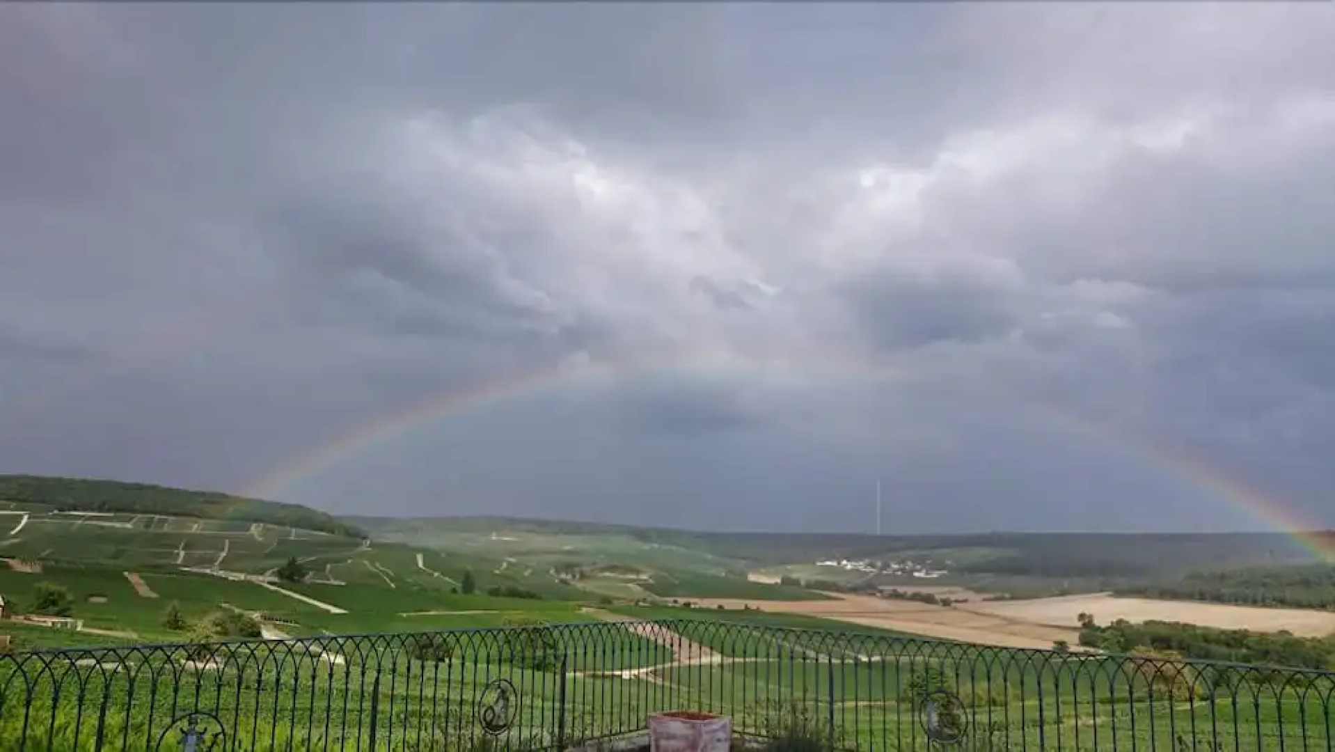 Flor'Ever en Champagne