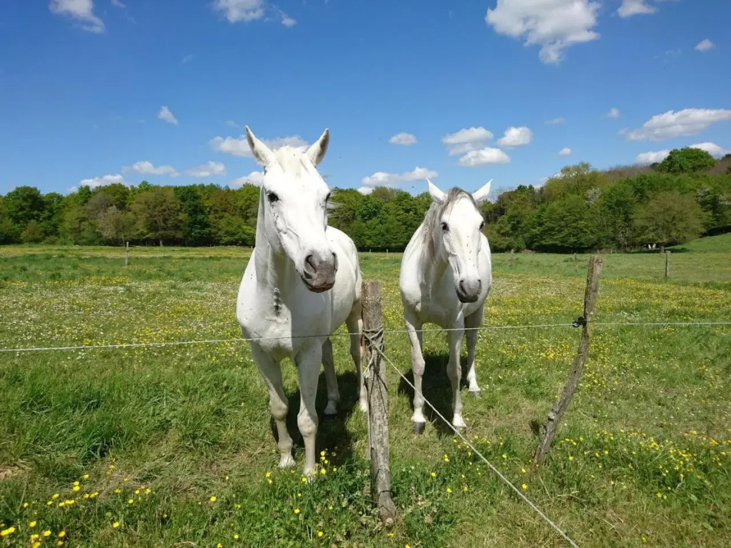 Bienvenue À L'andruere