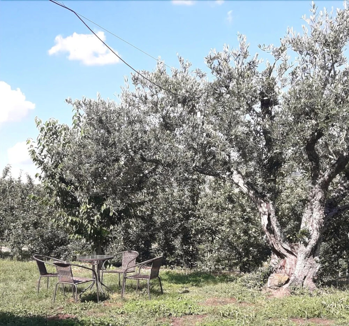Quinta da Cabrida Douro