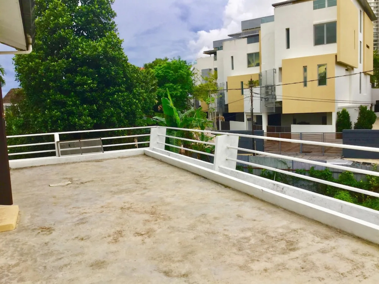 Sea Lion by the Beach