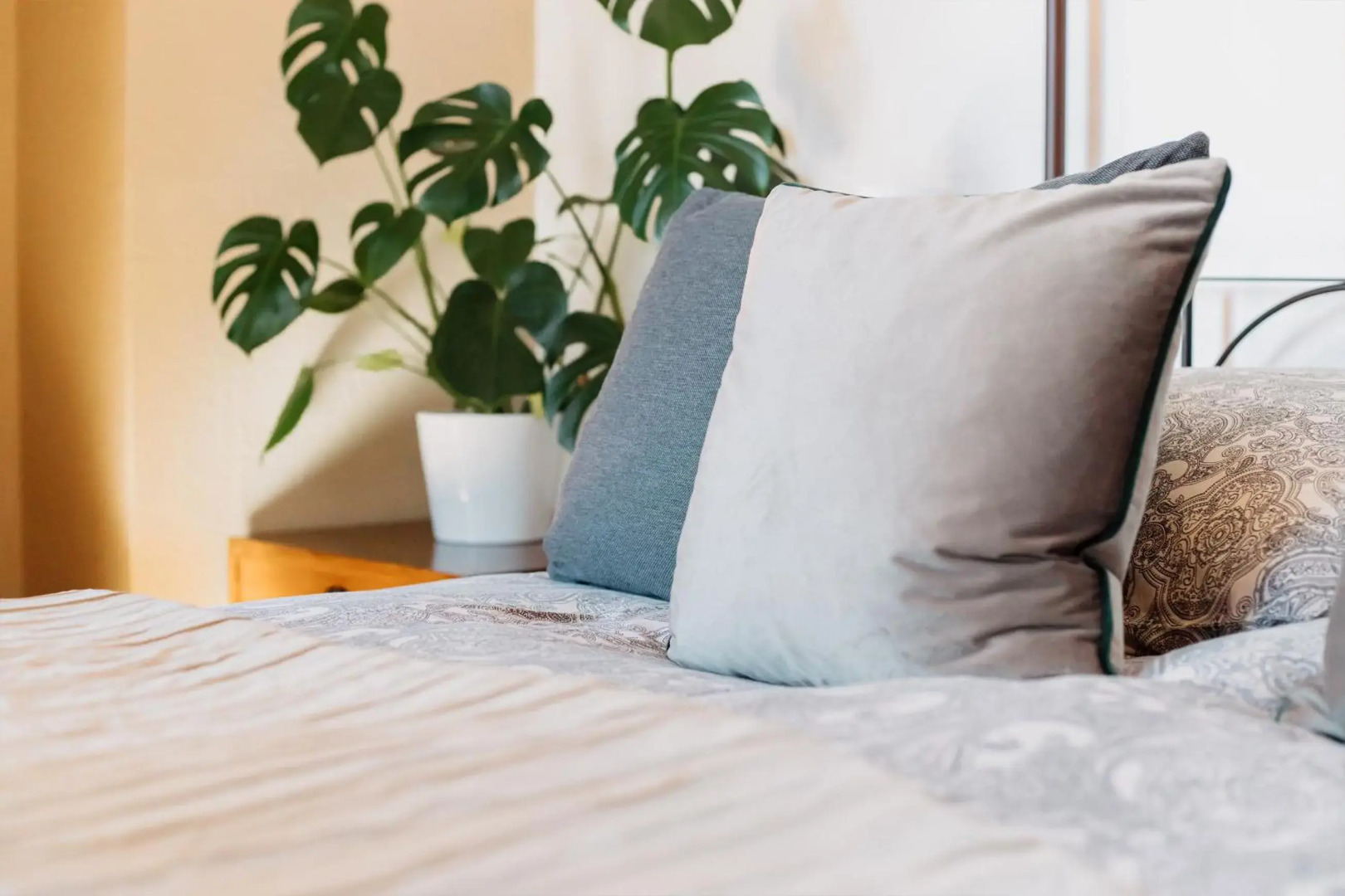 Zur Zenkergasse - Studios & Apartments & DZ in der City