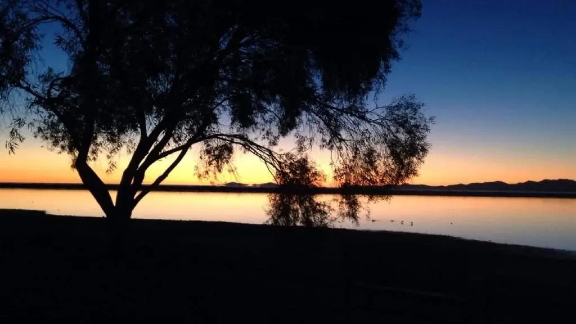 Blue House on the Quay