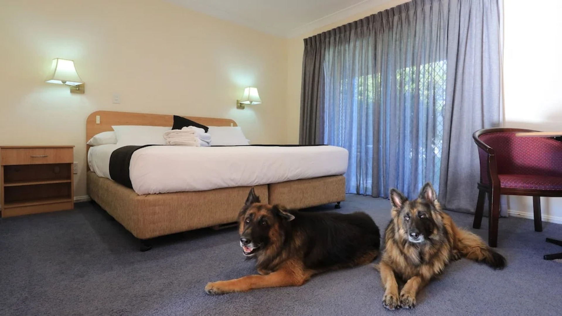 Comfort Inn Bushman's