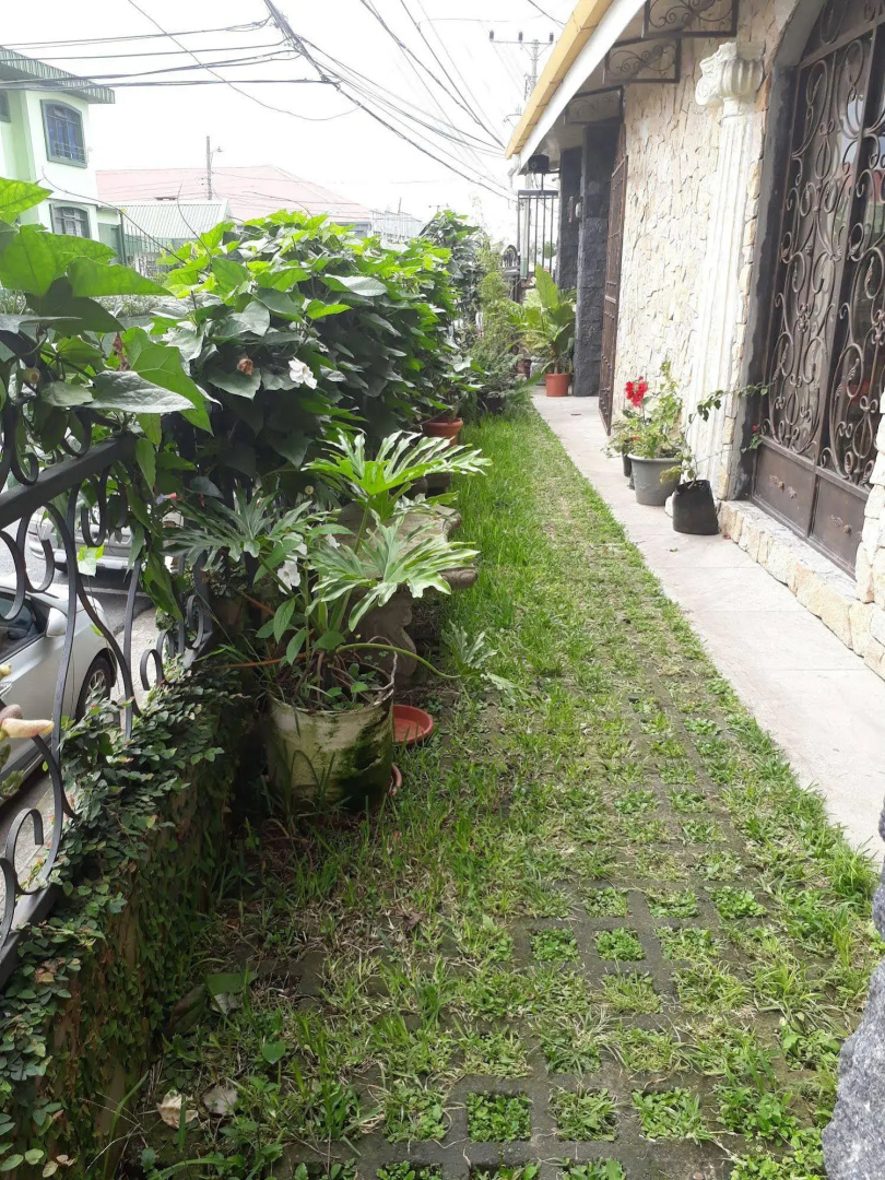 Apartamentos El Castillo