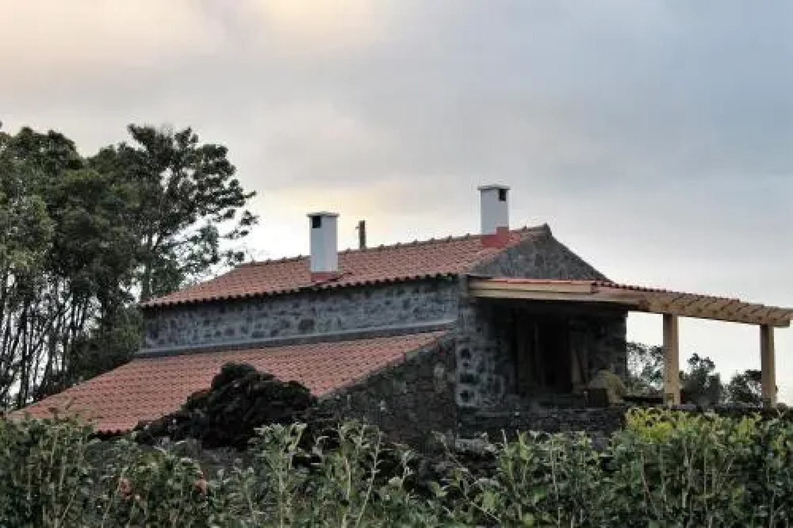 Vinea Lava Praia Campo Pico