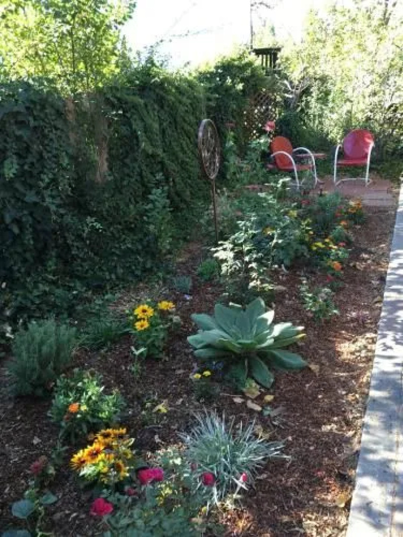 The Madison House Bed and Breakfast