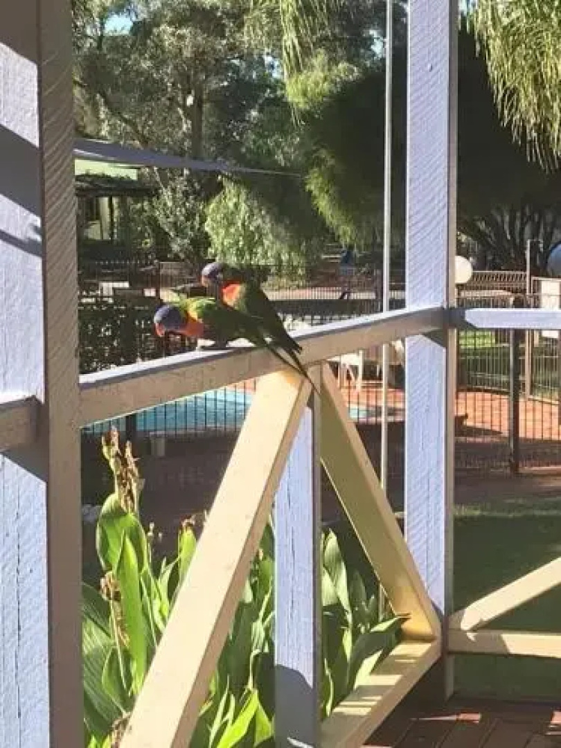 Tambo Mill Motel & Caravan Park