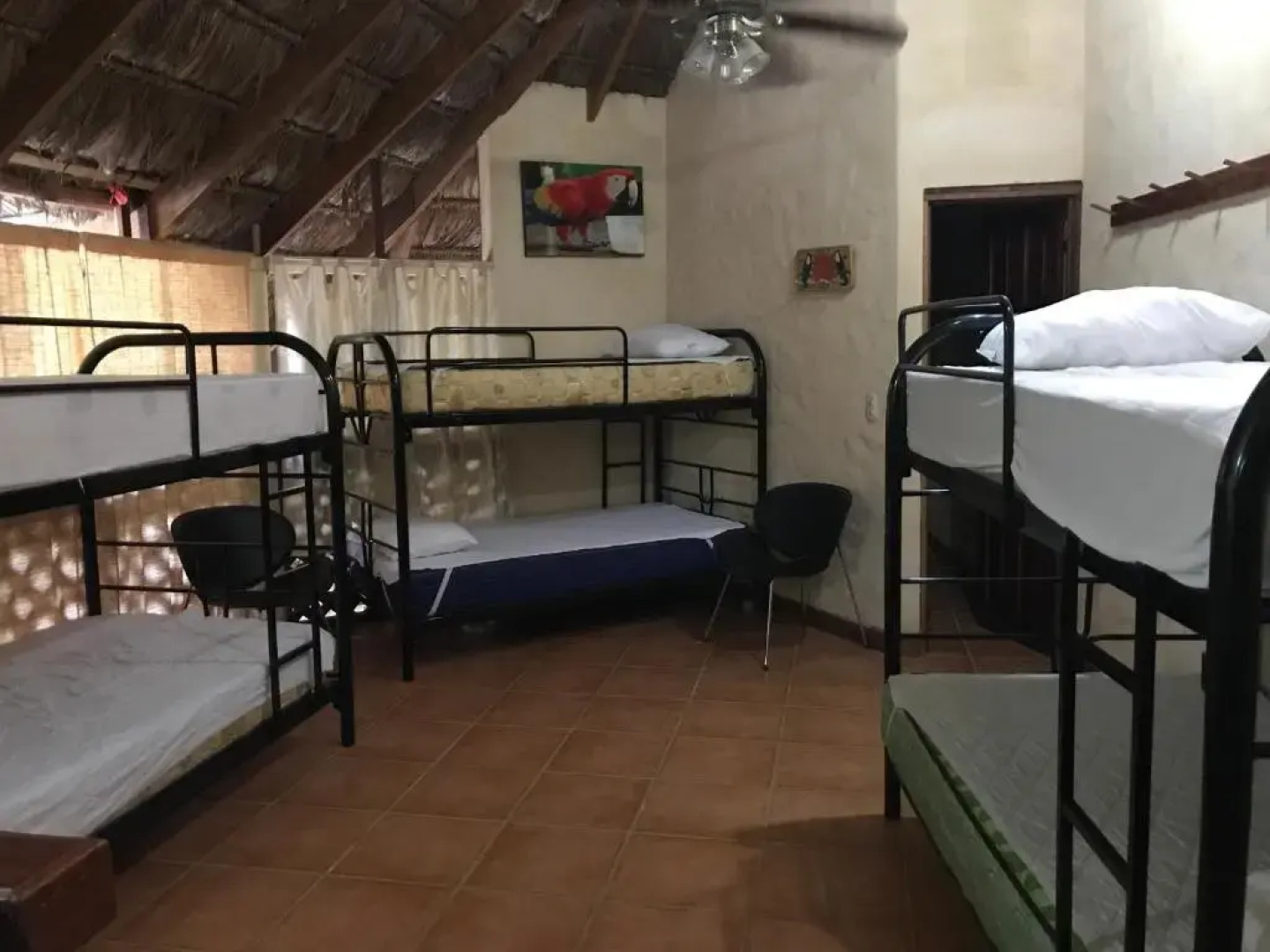 Palapa Hut Hostel & Camping
