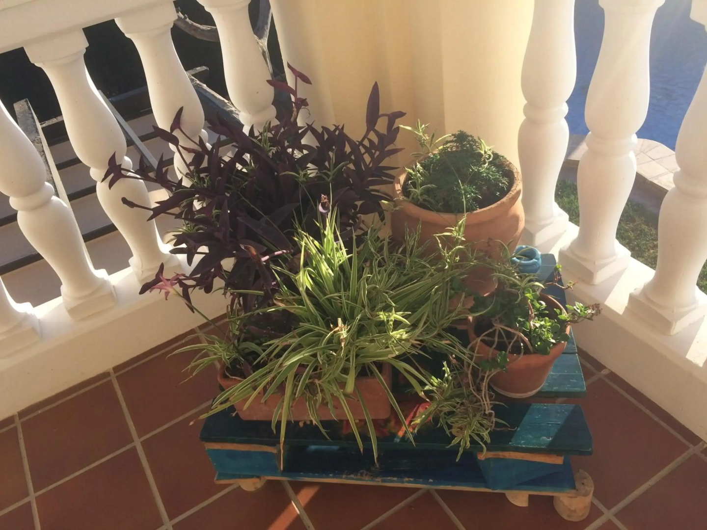 Bonita casa en Barrio de Monachil