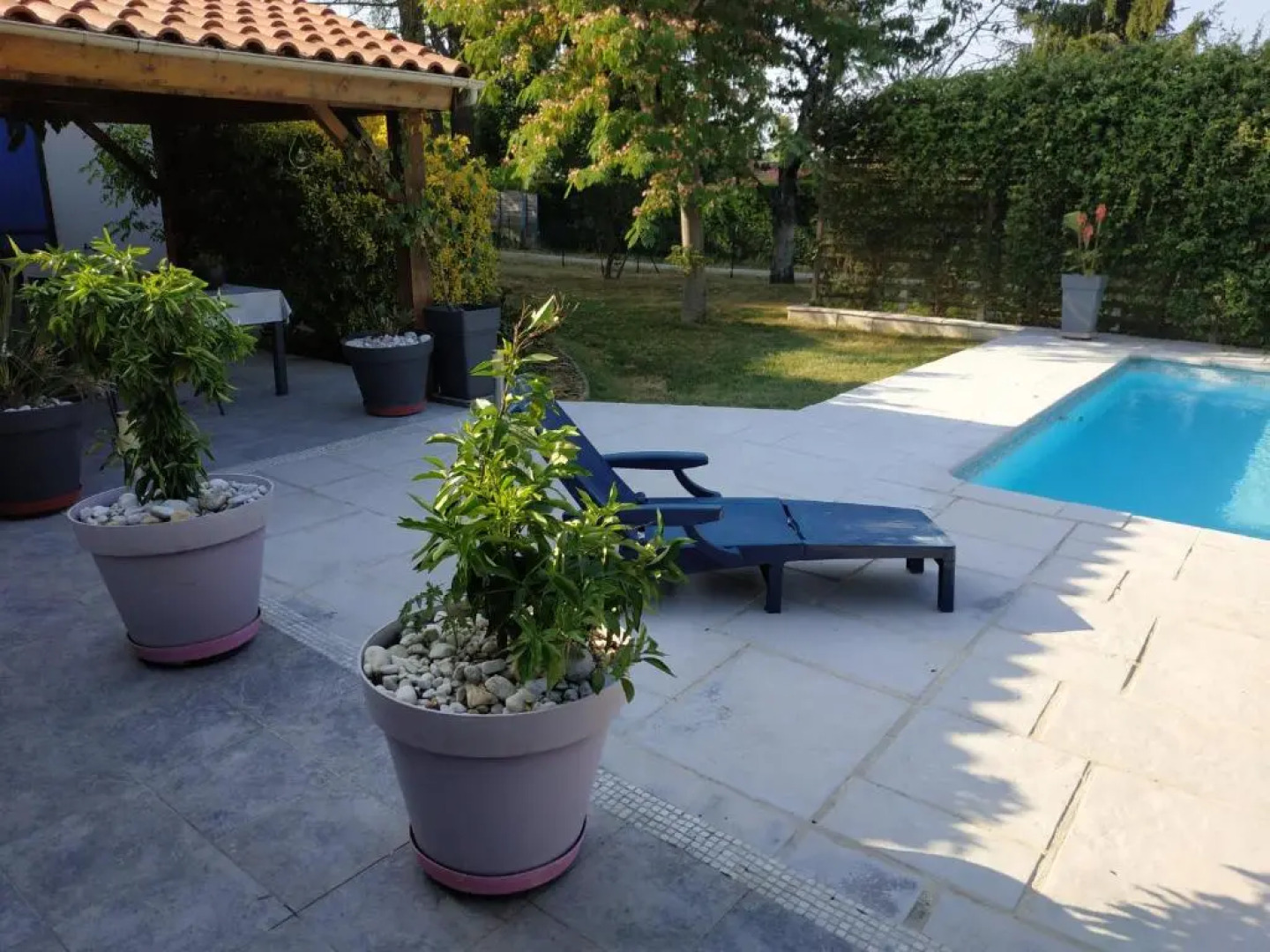 Les Agapanthes du frontonnais