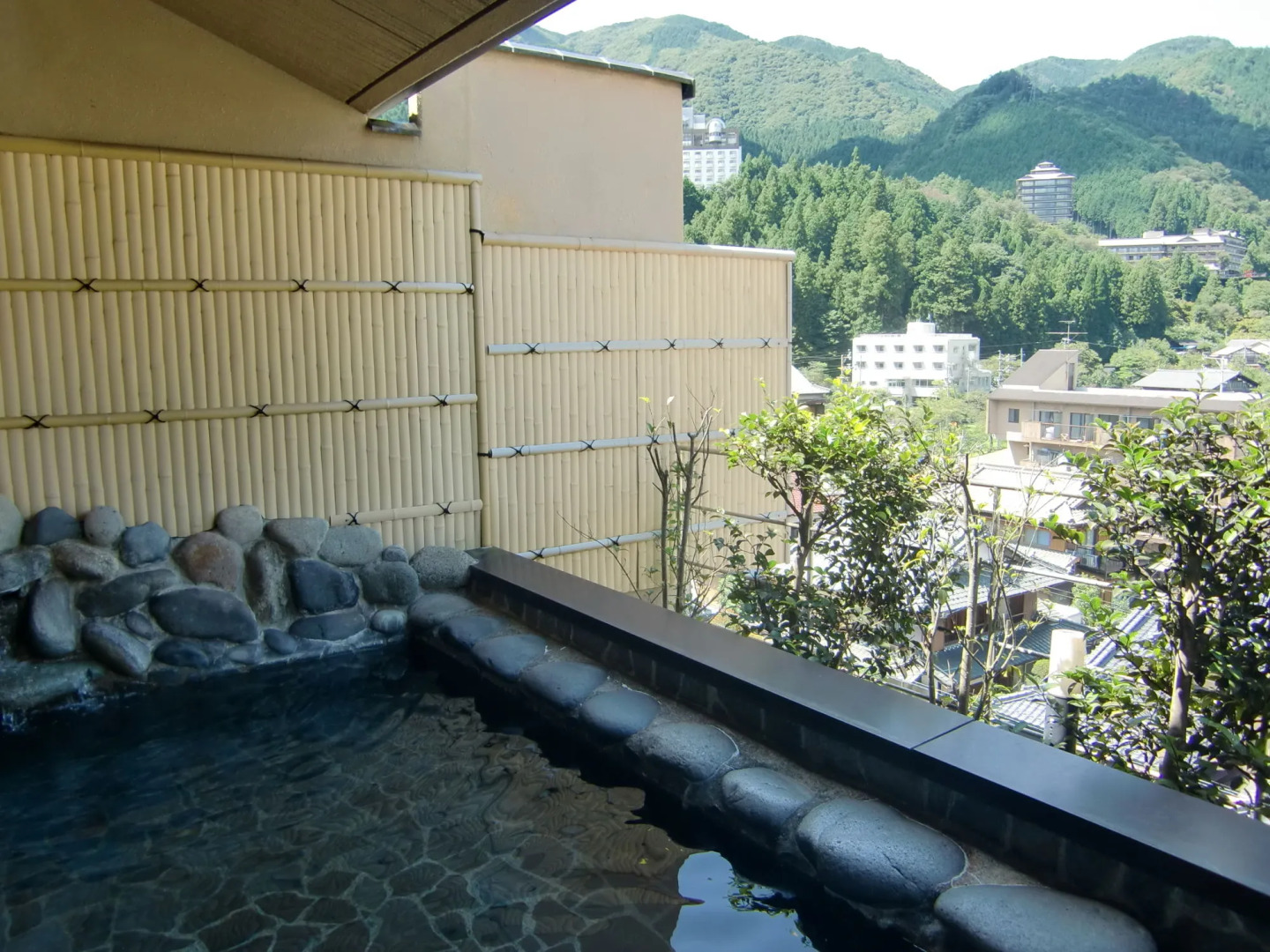 Gero Onsen Kissenkan Chikusuitei