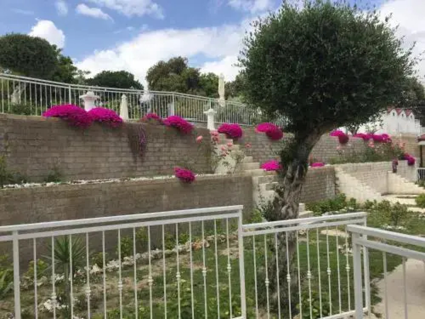 Zia Bi Bed and Breakfast