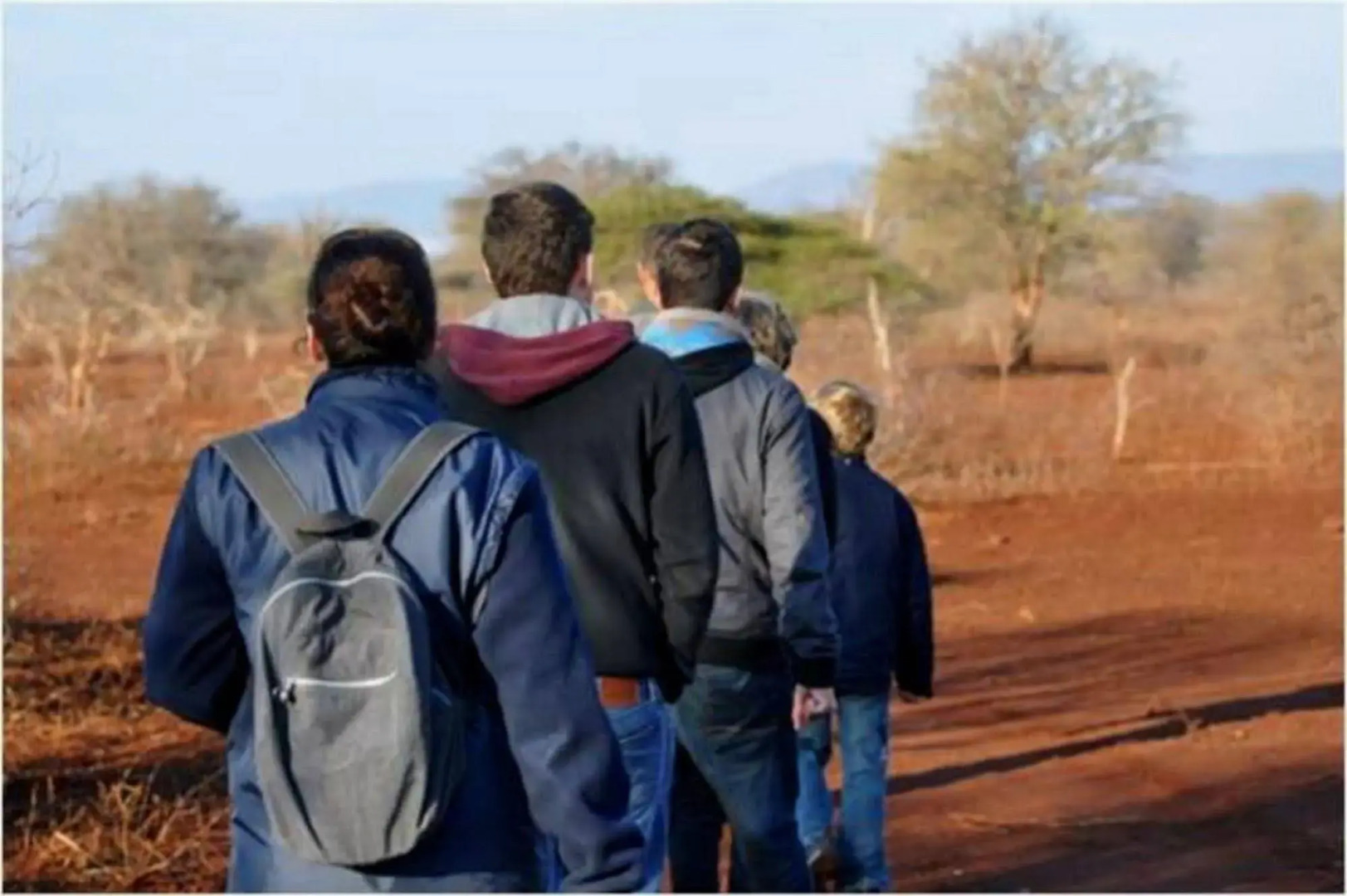 Africamps at White Elephant Safaris