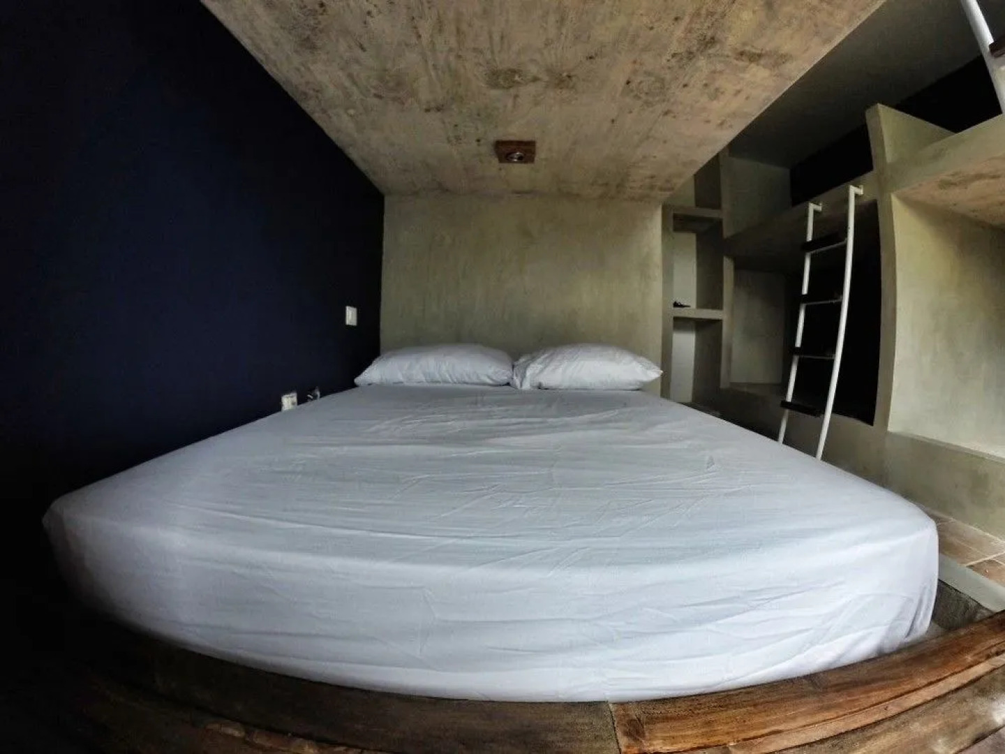 Lobo de Mar Hostel Playa del Carmen