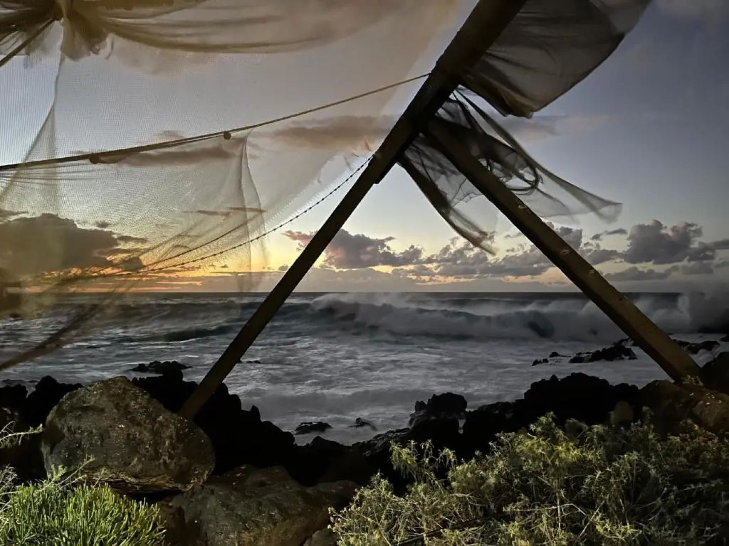 Bella Vista - Finca Tabaiba