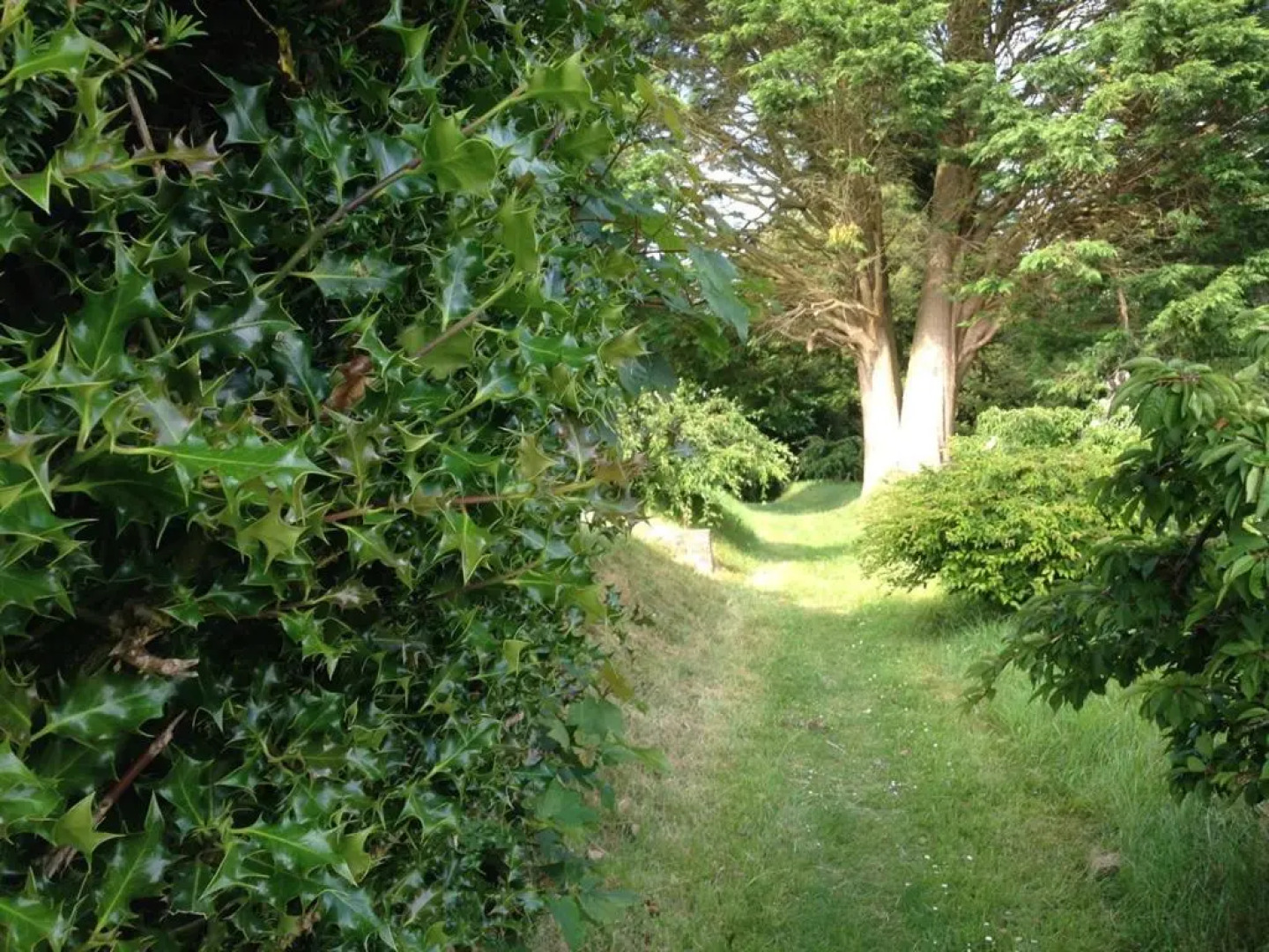 Madtom Seafood Cafe Bar With Rooms