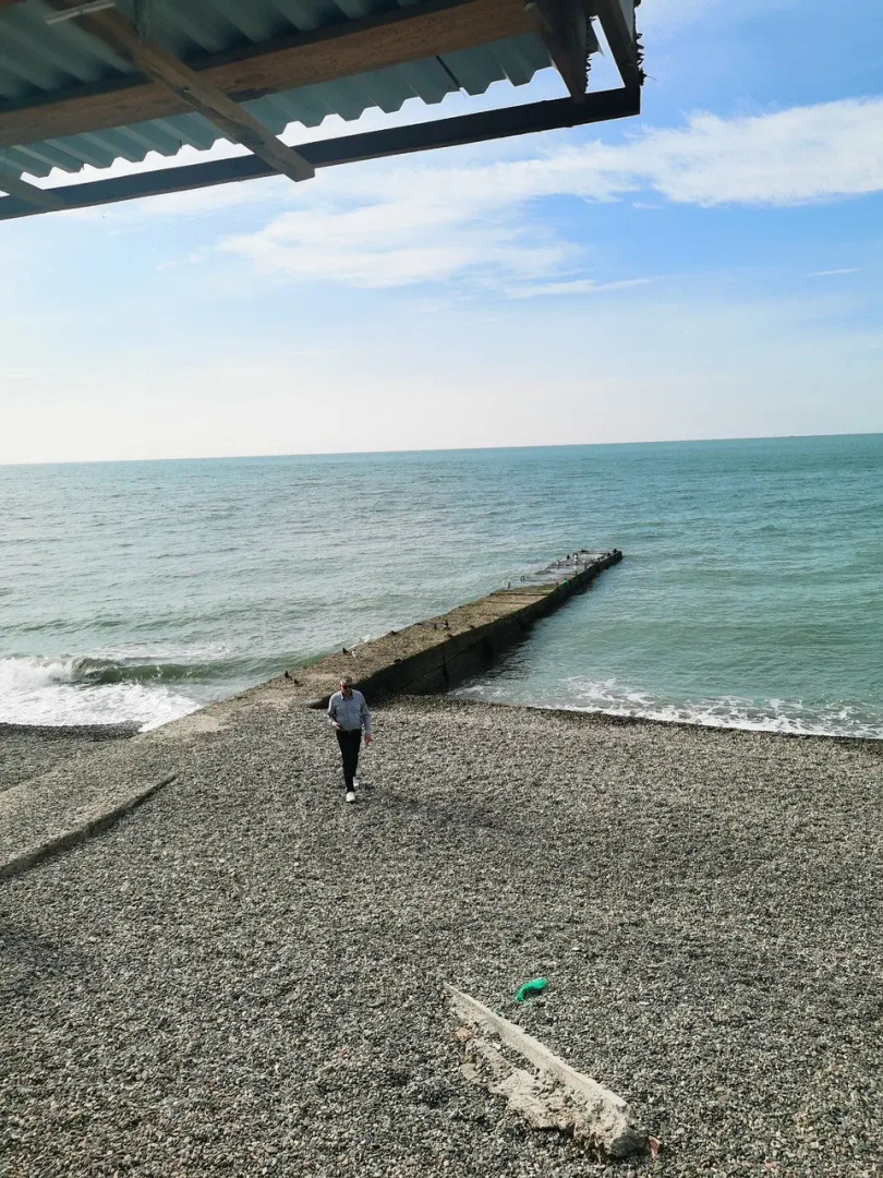 Изумрудный лев