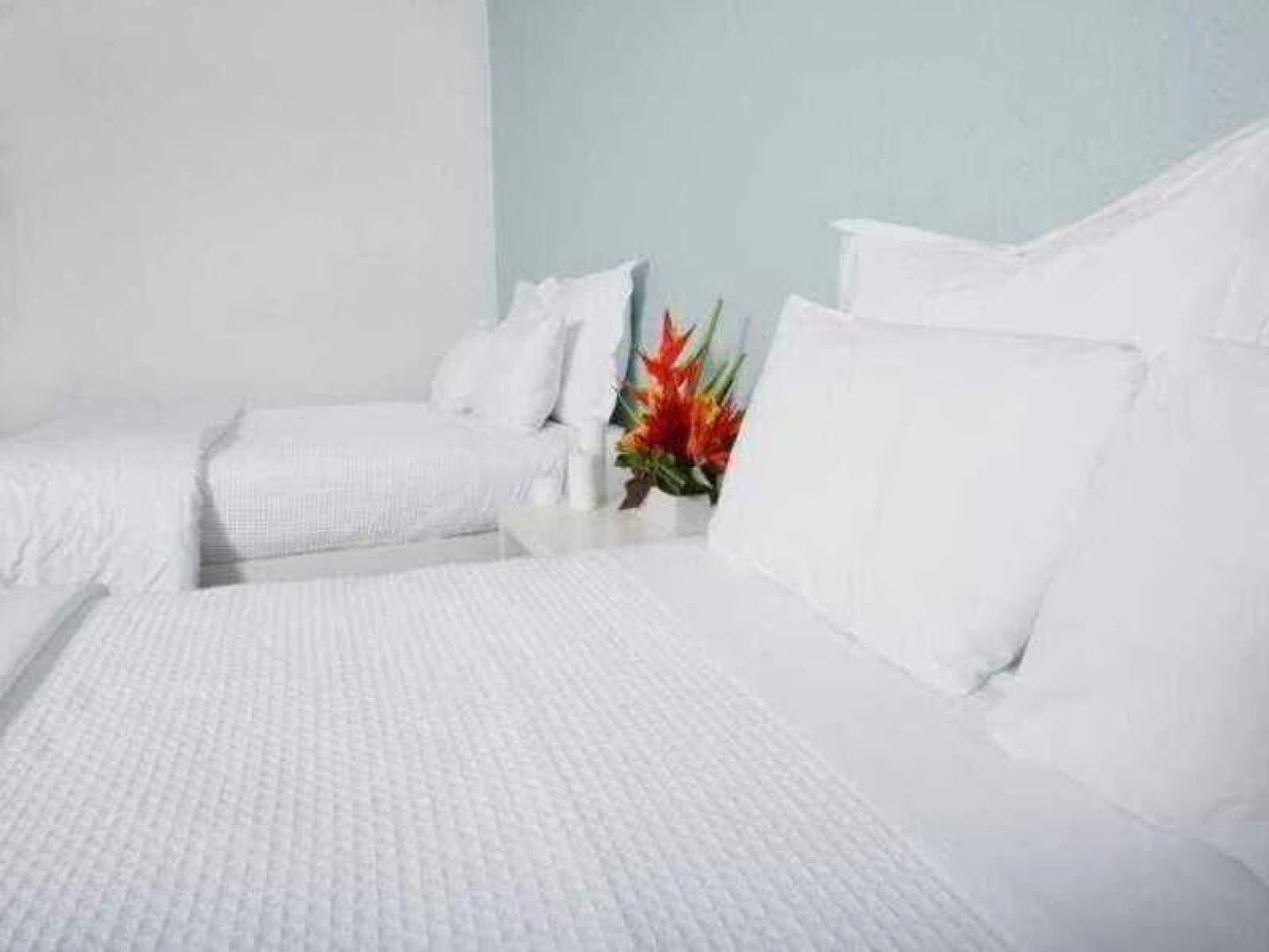 Carlton Hotel South Beach