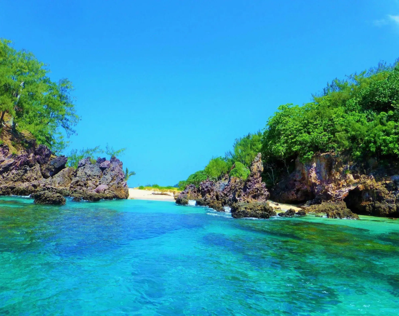 Mai Dive Astrolabe Reef Resort