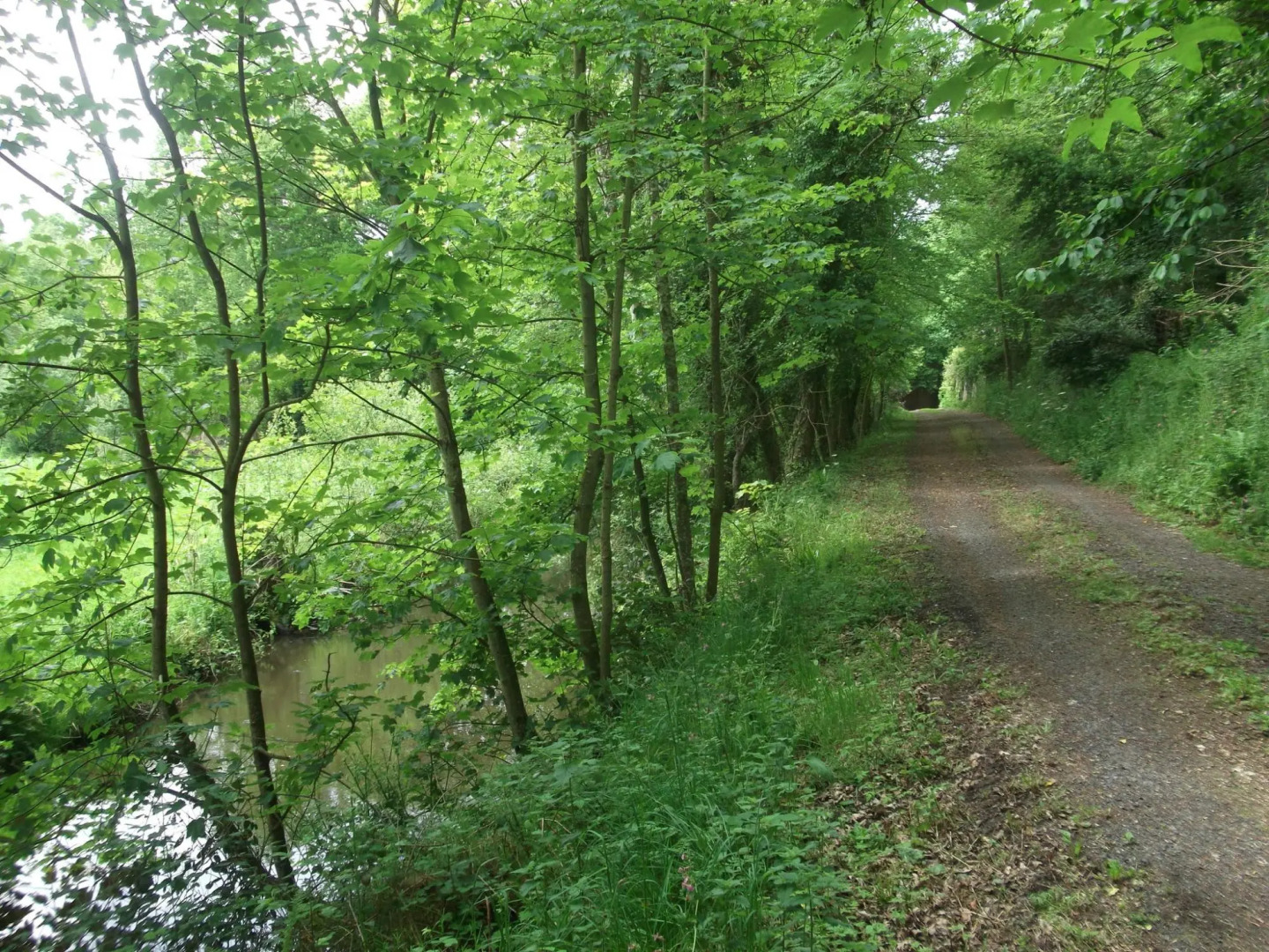 Peaceful Holiday Home in Yvias With Garden