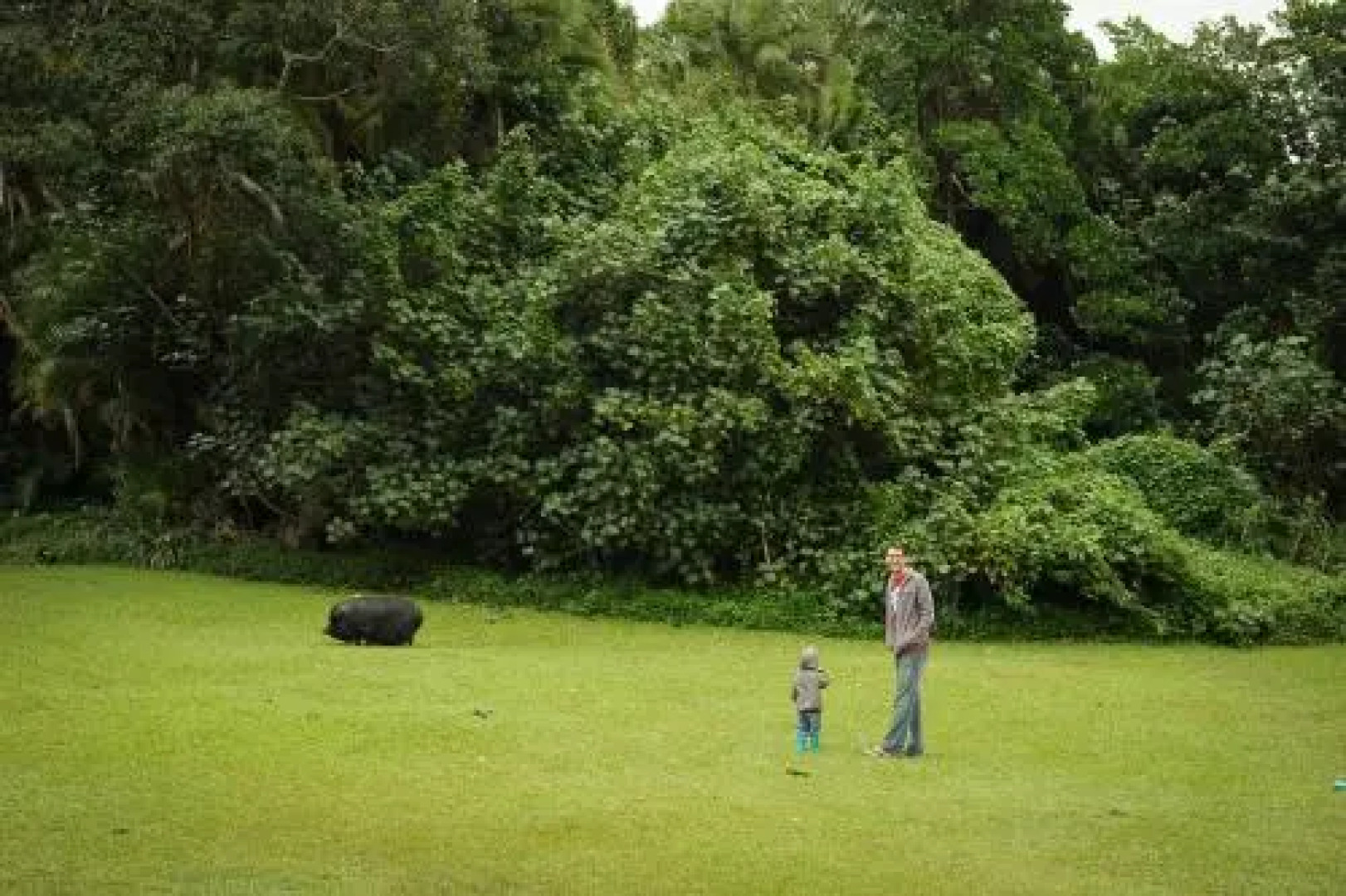 Umtamvuna River Lodge