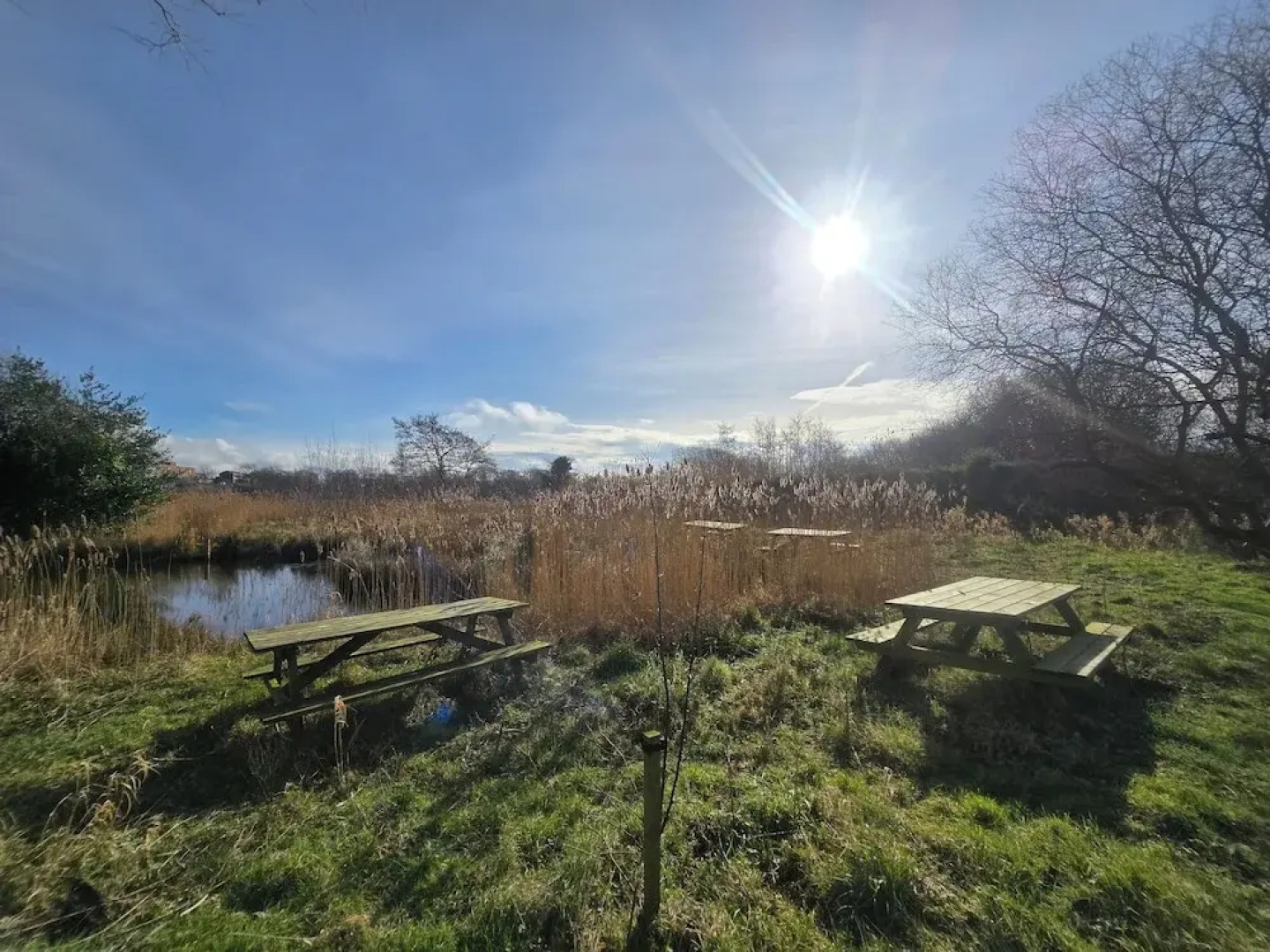 Nine Yards Bell Tents - Coleraine
