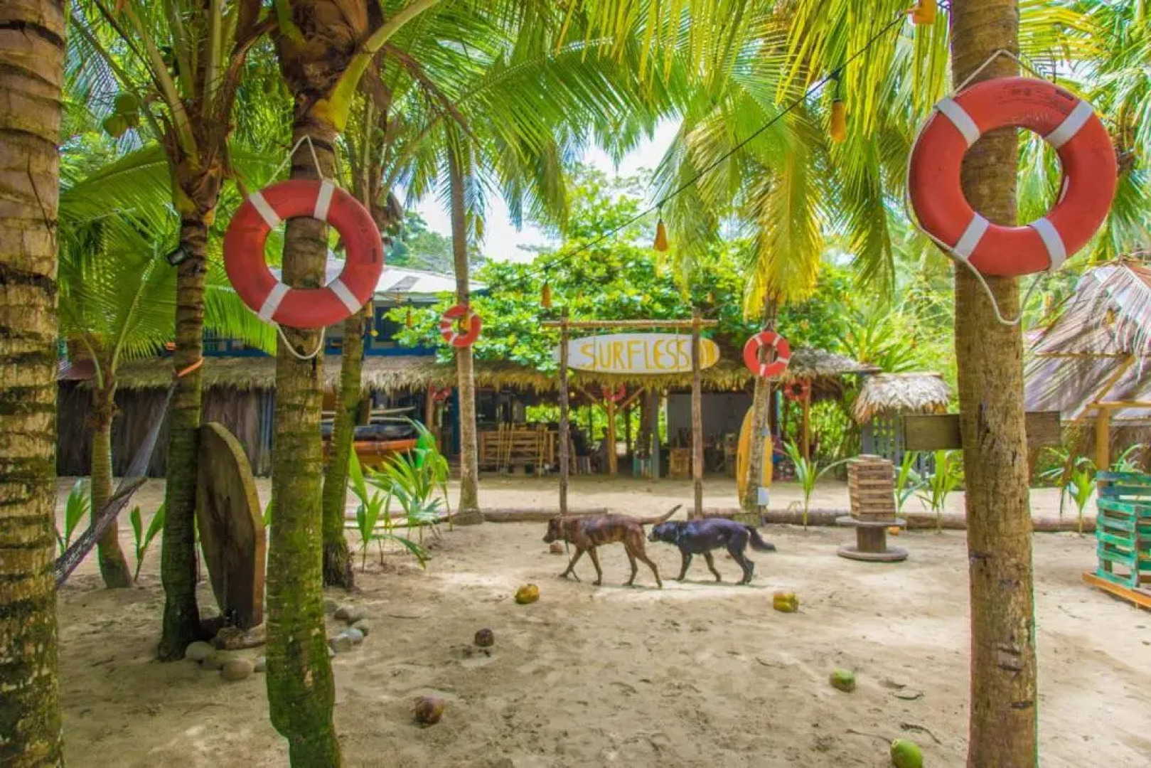 Playa 506 Beachfront Hostel