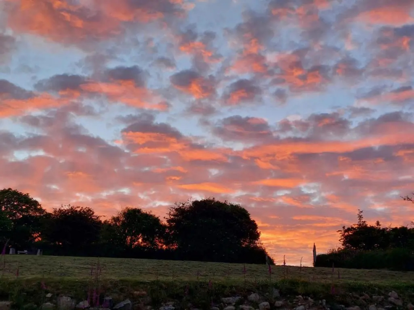 Wesley House Holidays - Choice of 2 Quirky Cottages in 4 private acres