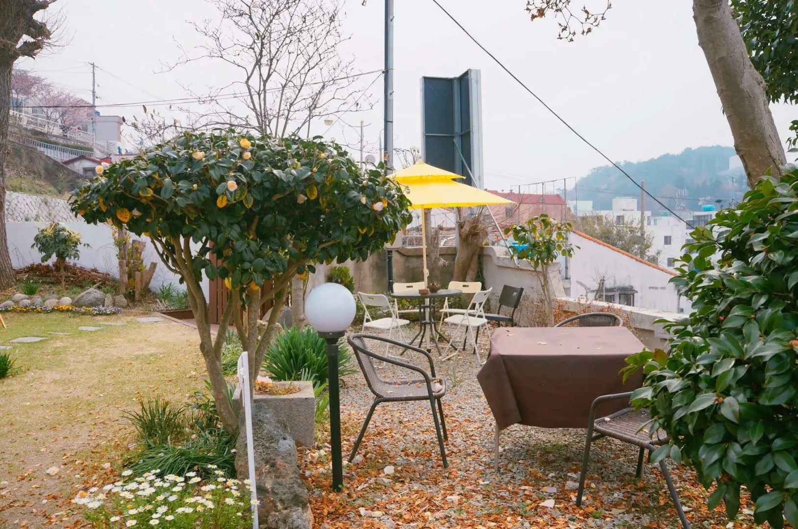 Soh Guesthouse