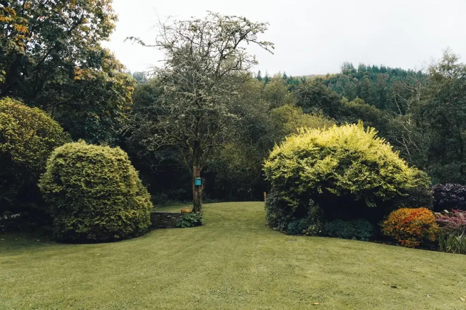 The Pheasant Inn - The Inn Collection Group