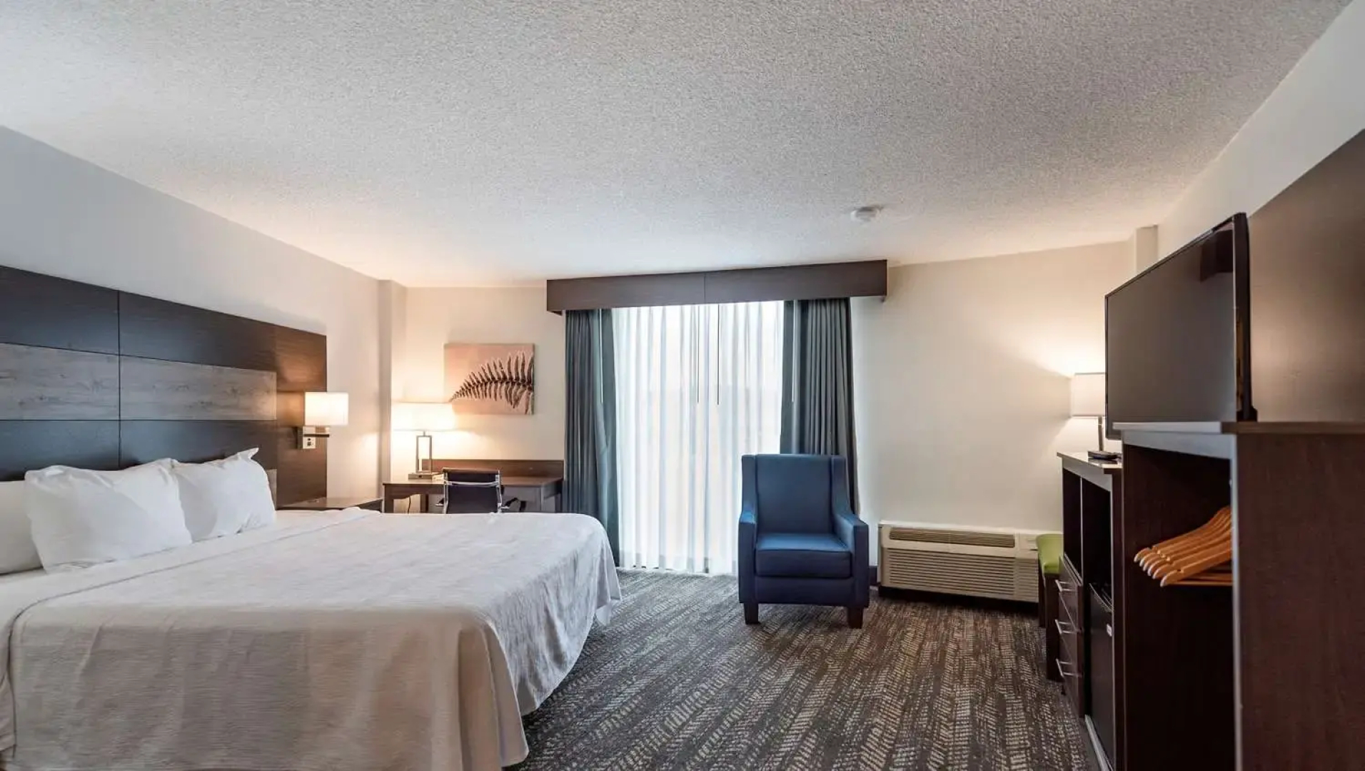 Plaza Hotel and Suites