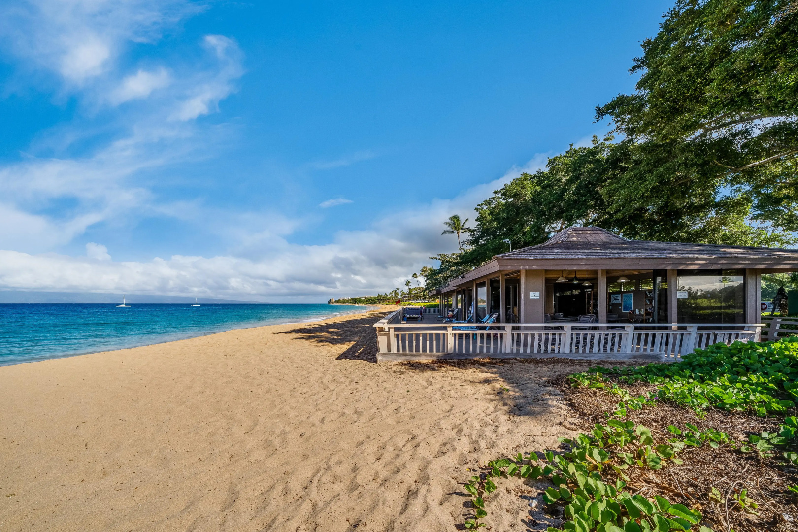 Eldorado K203 in Lahaina