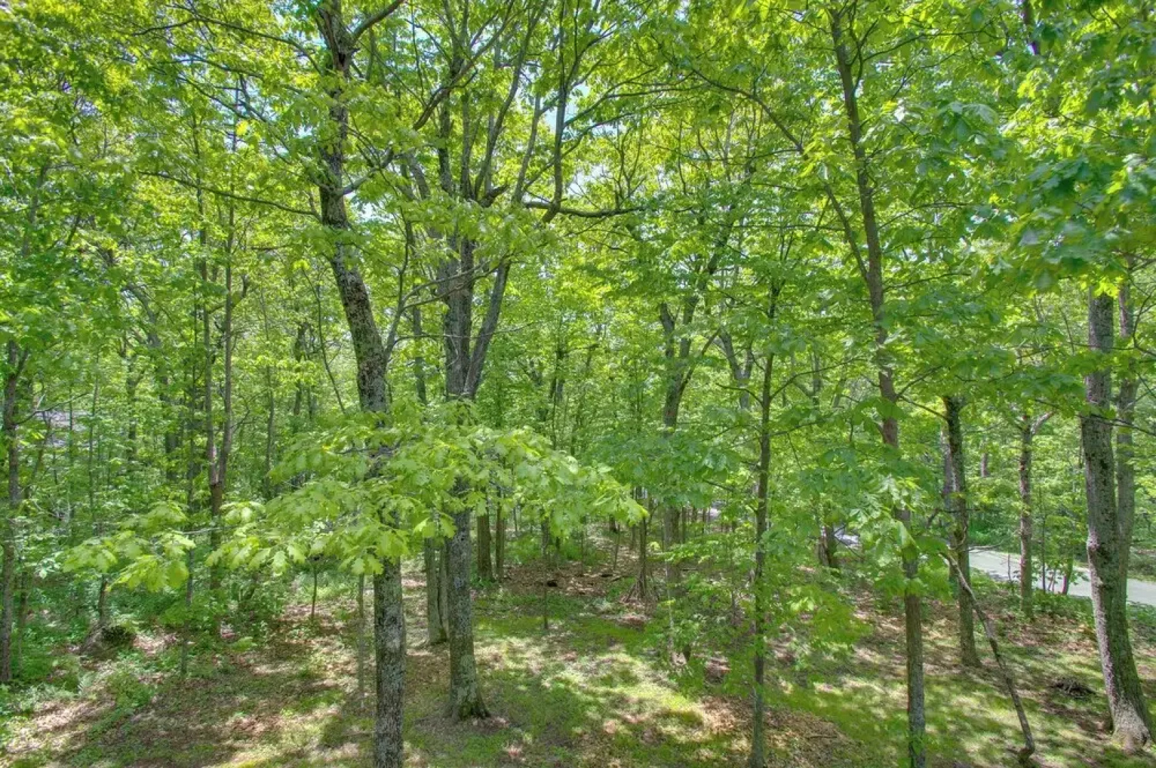 Wintergreen Resort Retreat w/ Hot Tub!
