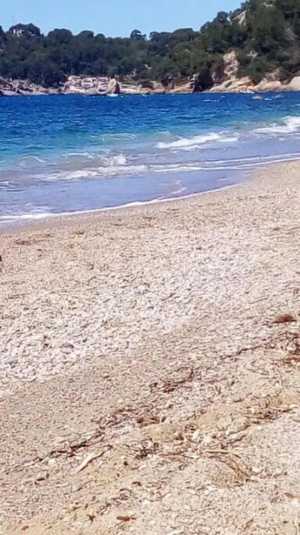 Apartment with 2 Bedrooms in Le Pradet, with Wonderful Mountain View, Furnished Balcony And Wifi - 700 M From the Beach