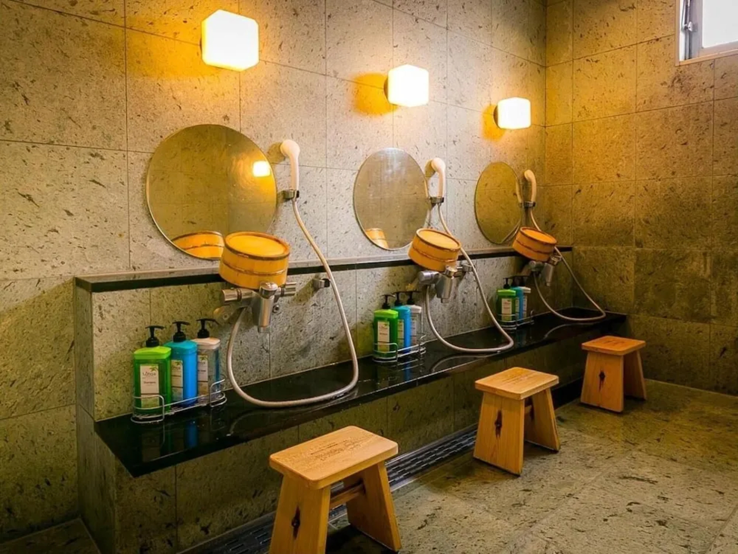 Super Hotel Natural Hot Springs Fuji