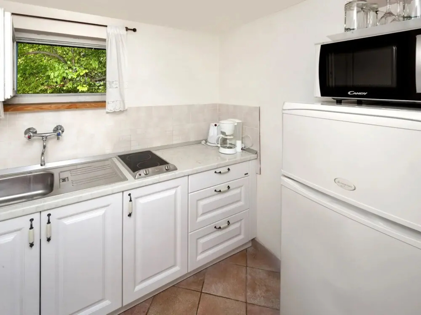 Hibiskus Tadini in Tadini