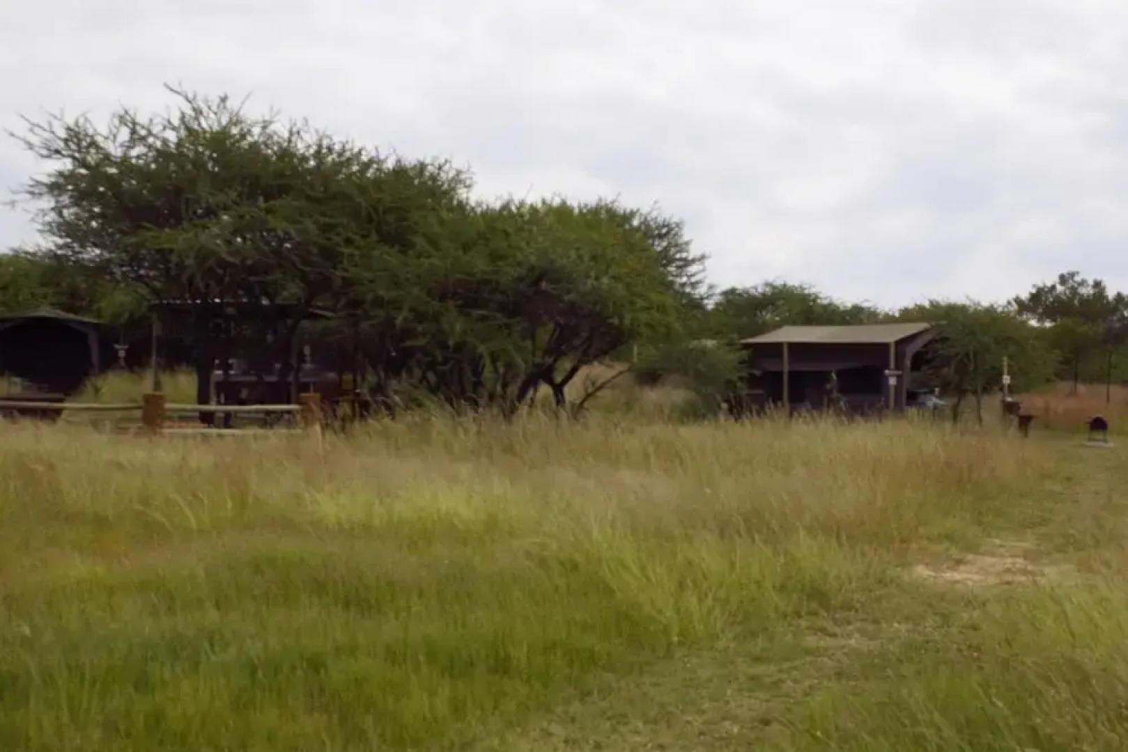 Thorn Tree Bush Camp
