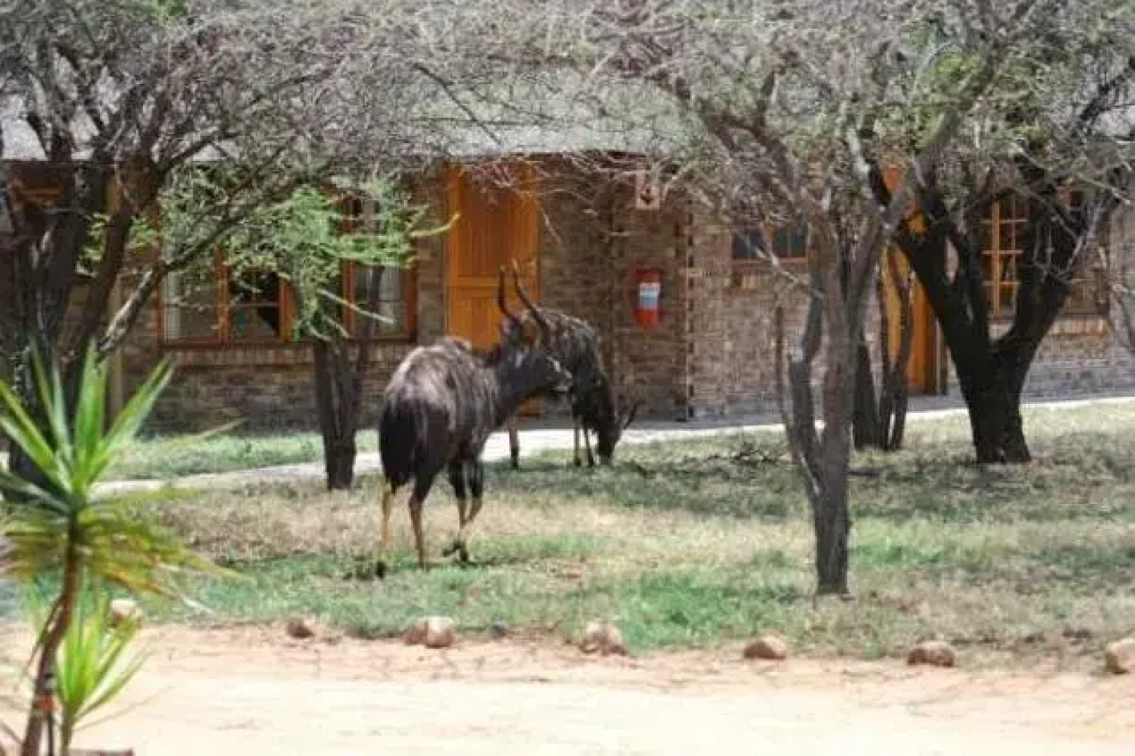 Leopardsong Game Lodge