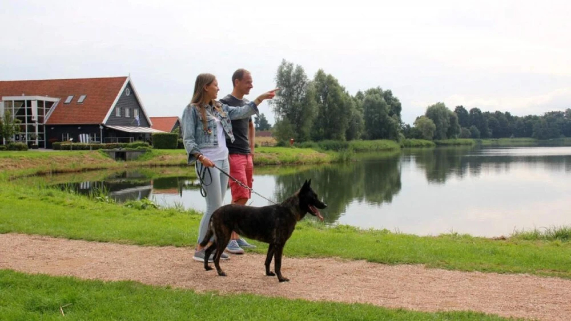 HVZ Orchis Wellness 6p