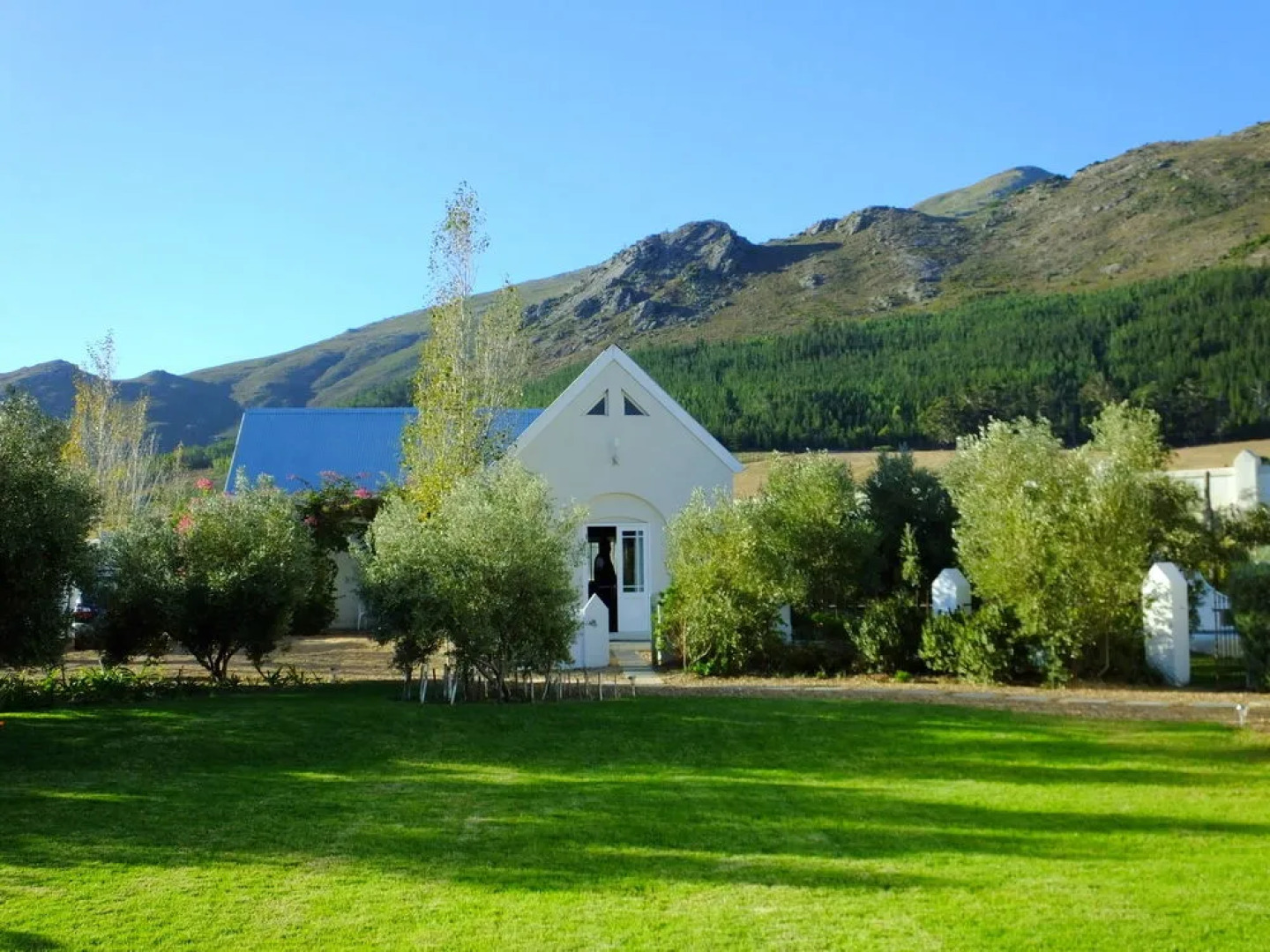 Goodings Groves Olive Farm