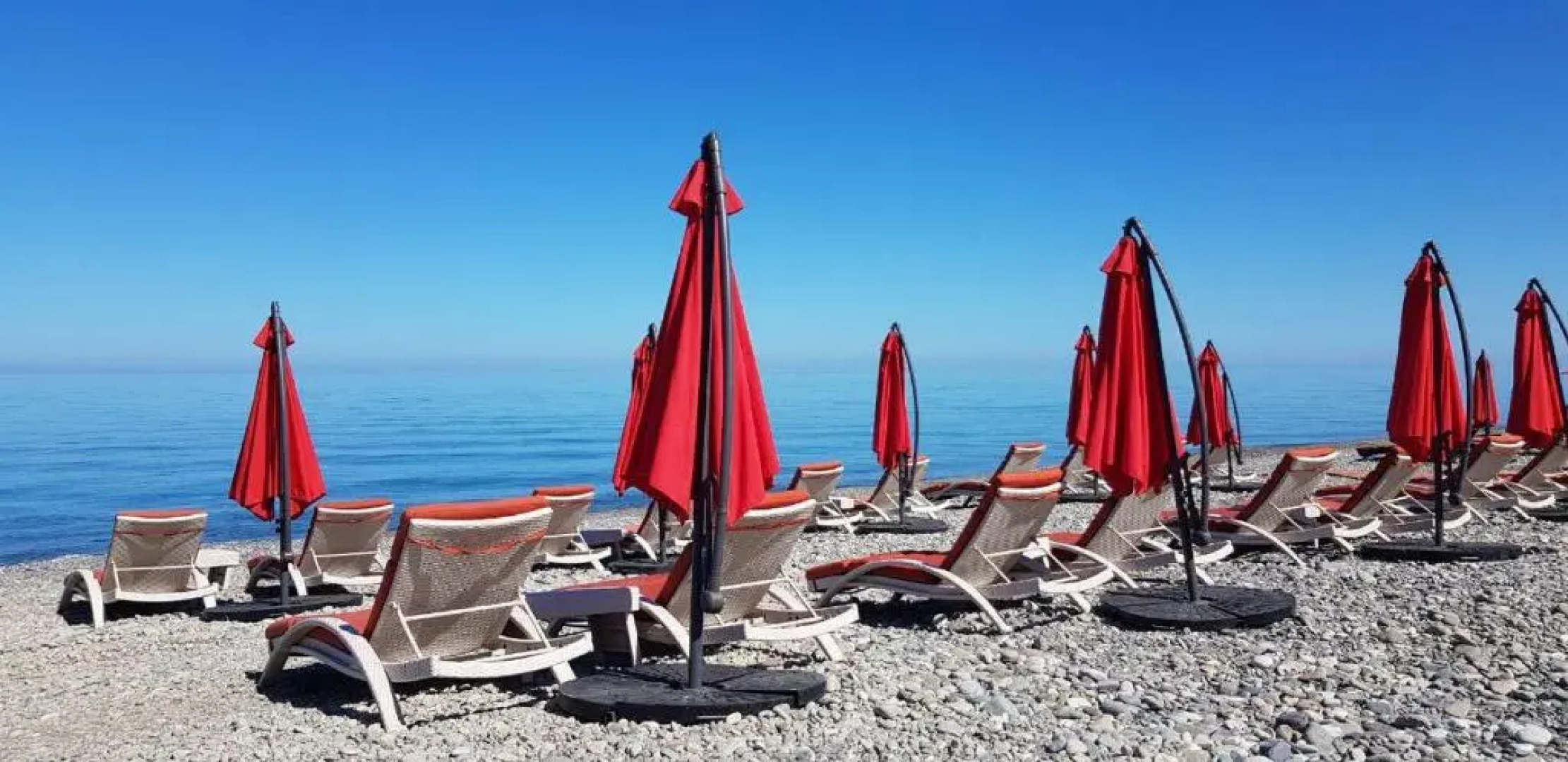 Luxury Oasis Apartment