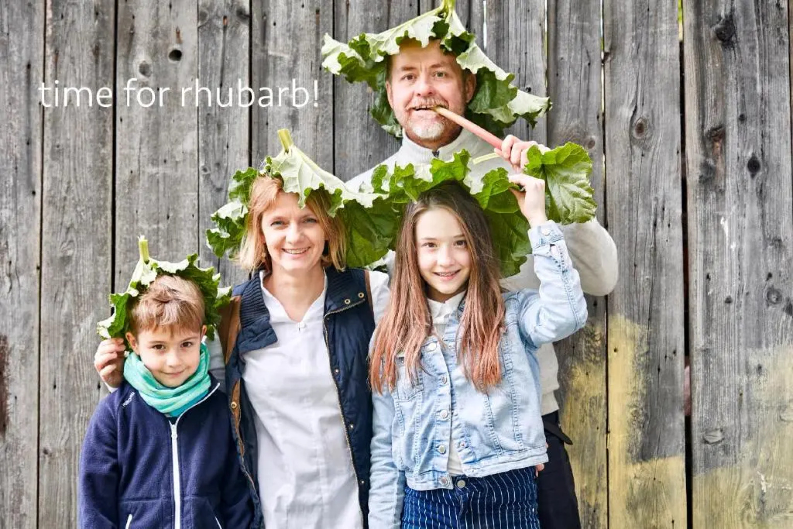 Villa Greta - Charm Of Tradition...