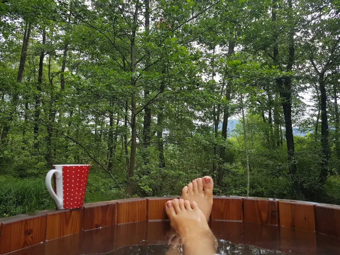 Vodenica Vrelo Chalets