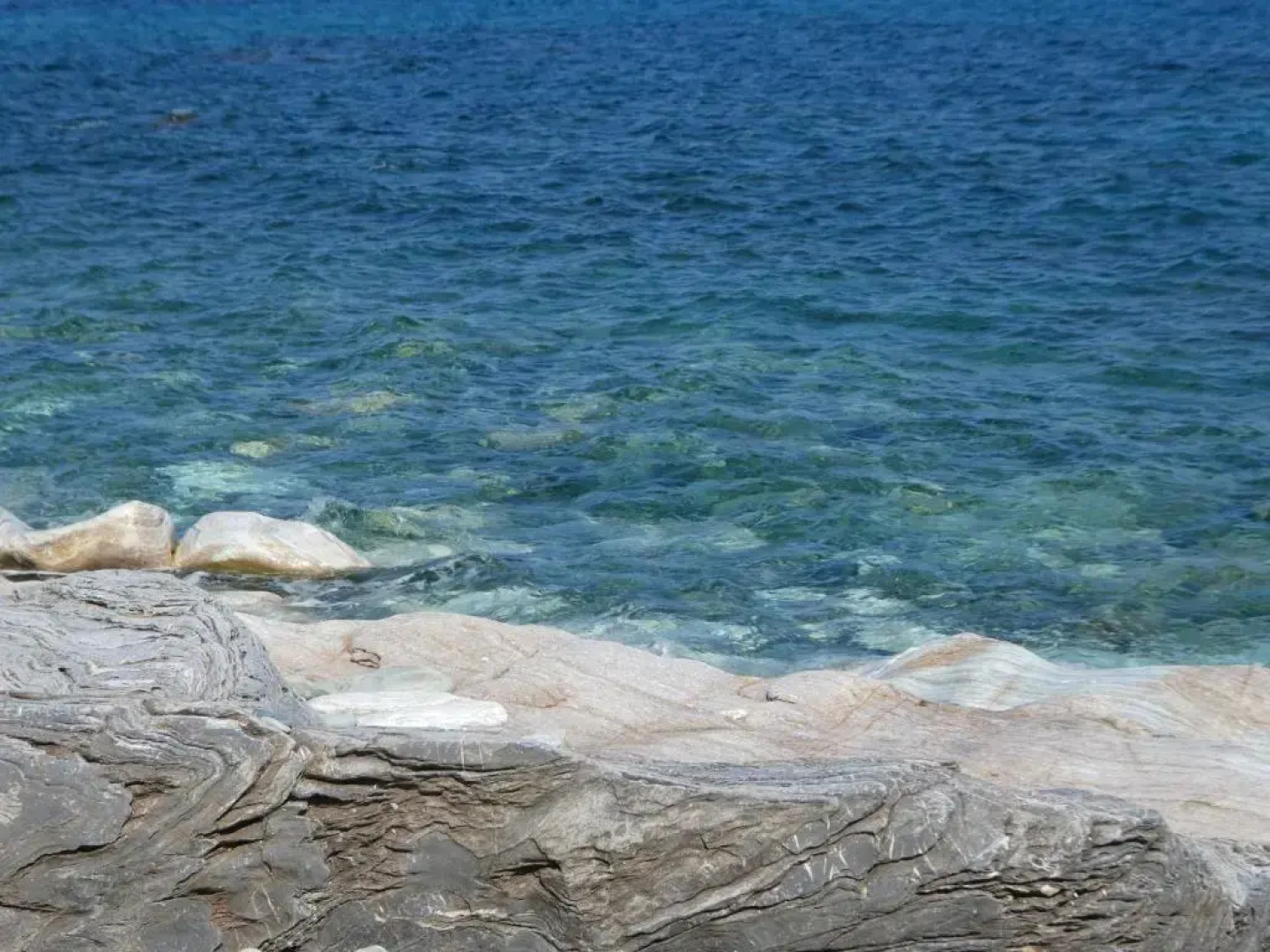 Hôtel restaurant U.Pozzu