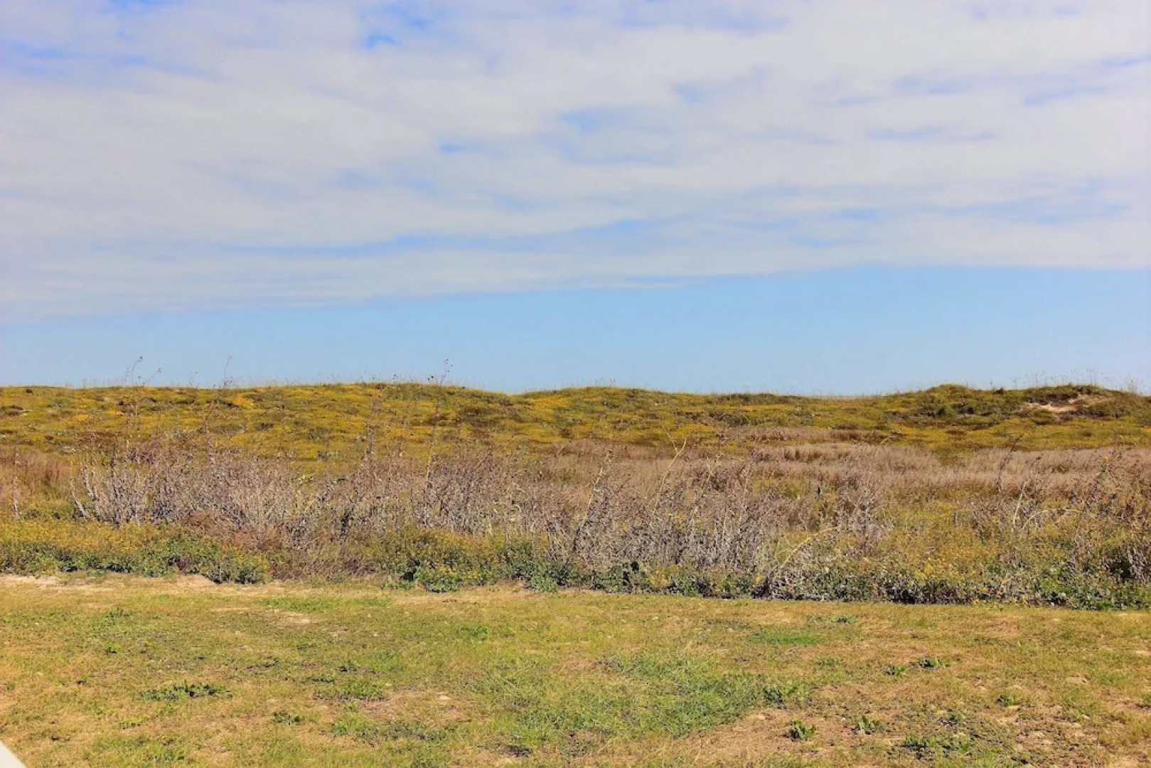 Grand Caribbean GC1002