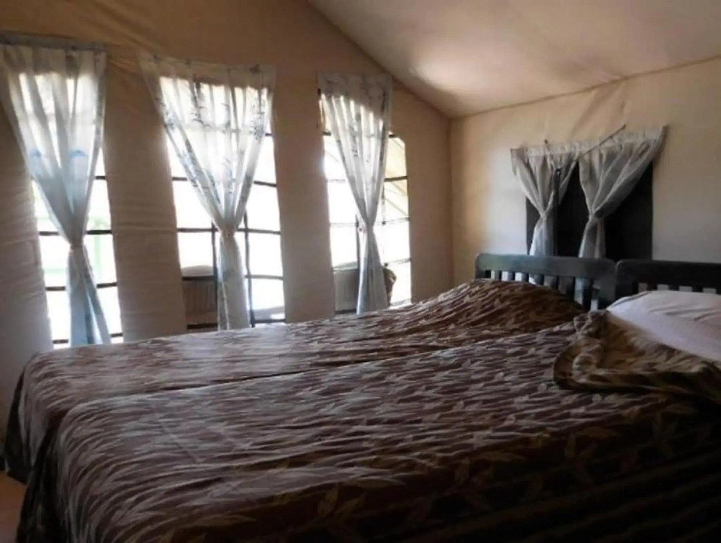 K. Gudi Wilderness Camp