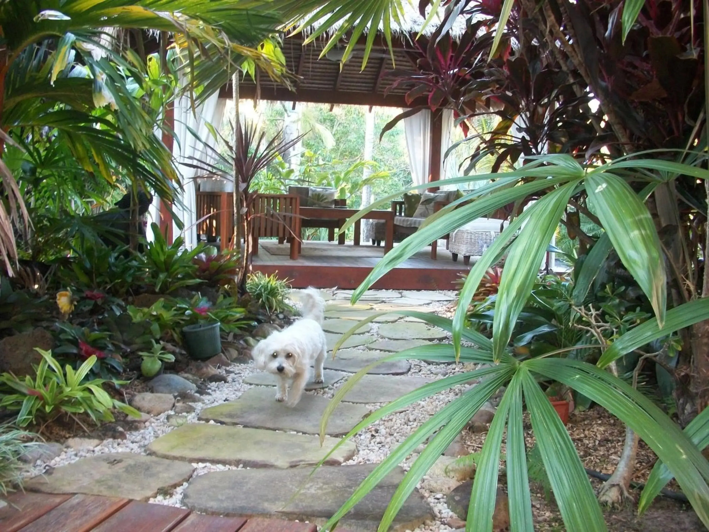 Forest Lodge: Bali-Style Retreat