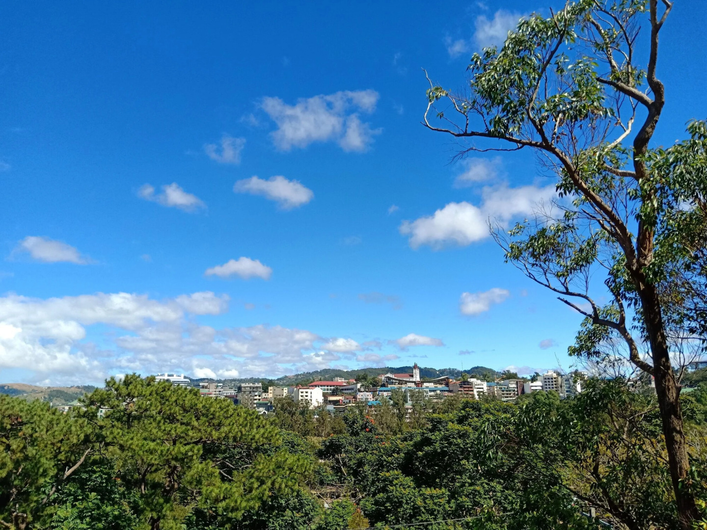 Venus Parkview Hotel