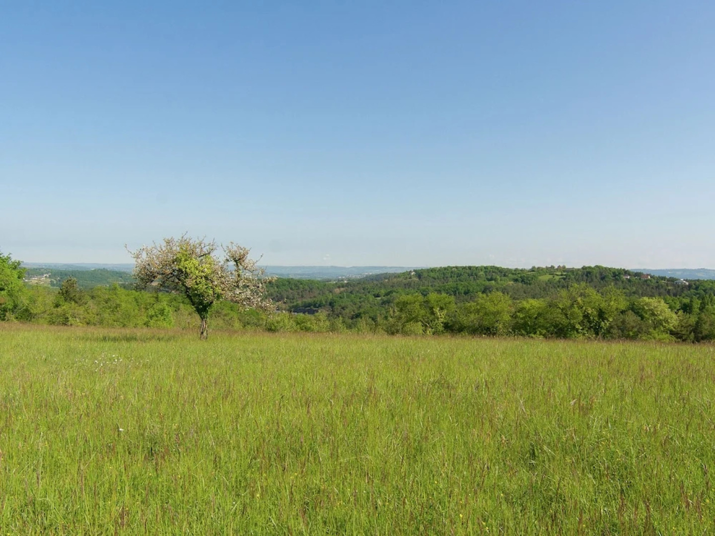 Classy Holiday Home With Garden, Barbecue, Garden Furniture